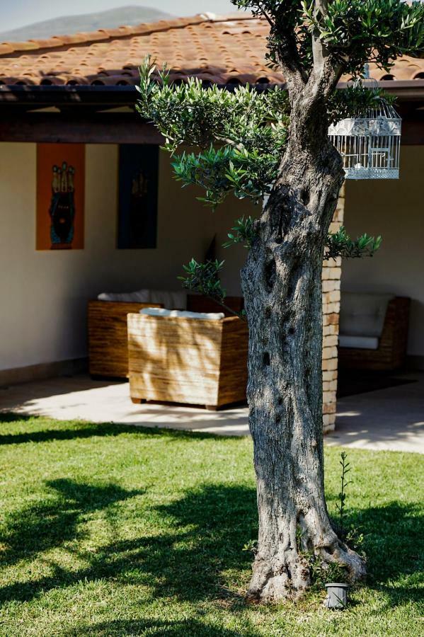 Villa Araucaria 파르티니코 외부 사진